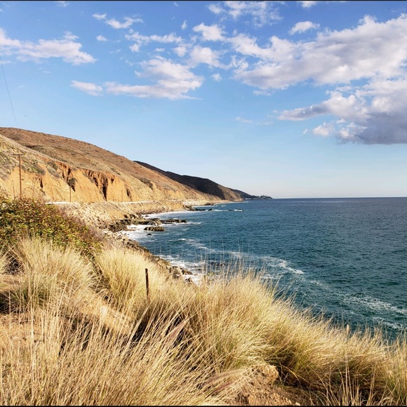 Meet your Posher, Jemma - Picture 1 of 1